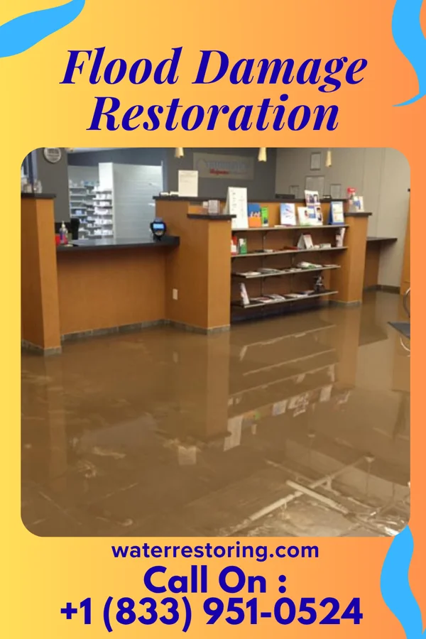 Flood Damage Restoration in Struble, IA
